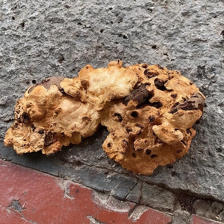 小***号荔枝木荔枝木香炉