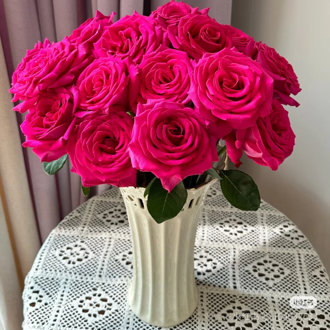 都市花季【弗洛伊德玫瑰】福建广东两单顺丰包邮