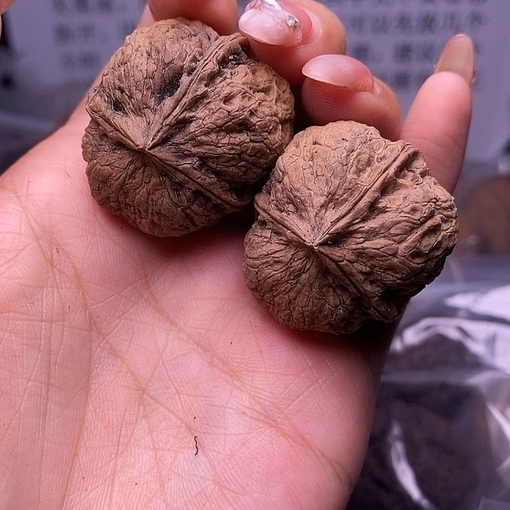 核桃云南野生铁核桃6号33mm