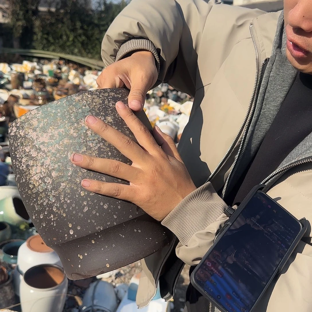 花盆紫砂王老板花盆1229-518