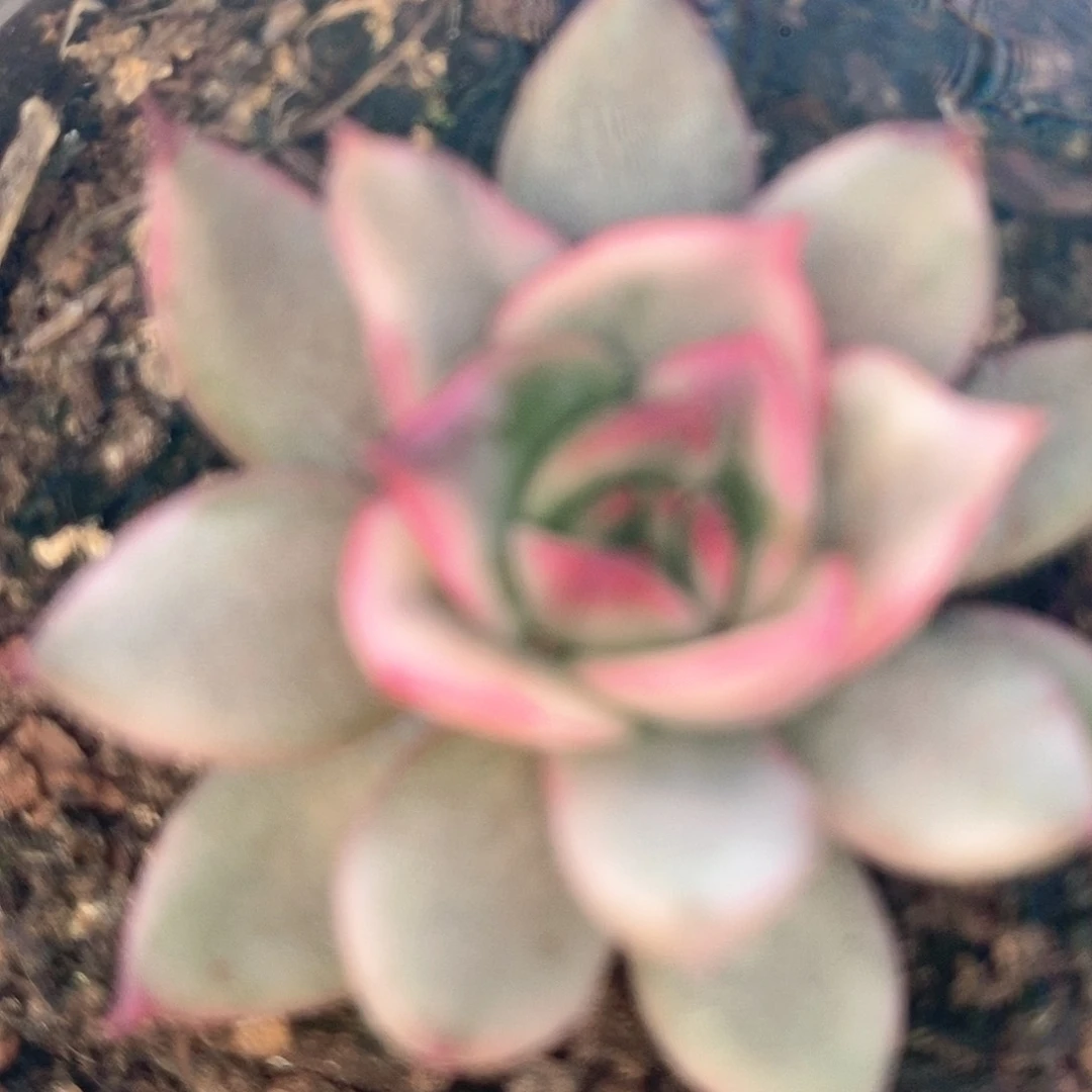 042哈哈哈哈哈哈哈哈哈