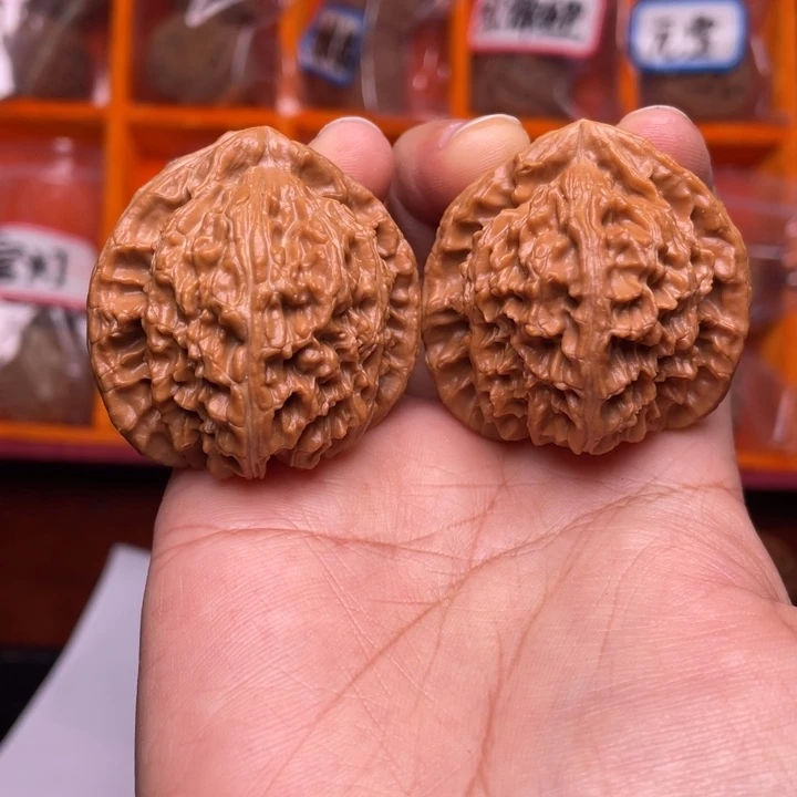 核桃三角白狮子全品