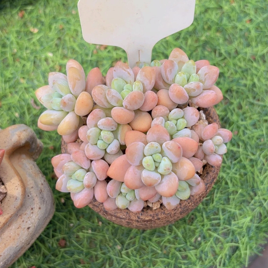 颖***子我的小可爱们都好可爱