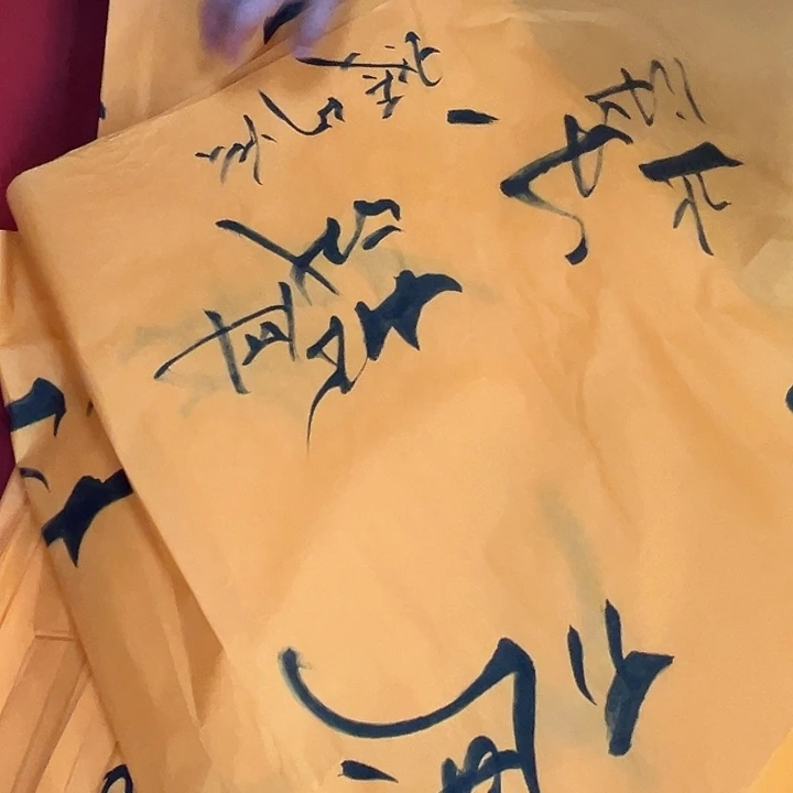 横款来直播间看看有什么