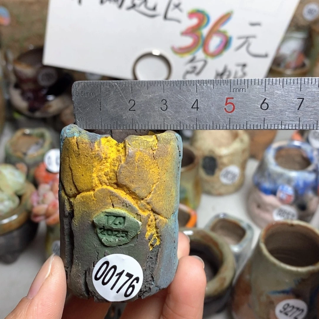 花盆拍3送一个小礼物