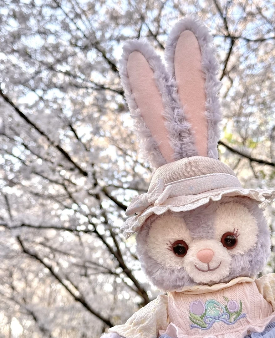 【噗噗仙子 明星版】维达纸巾 未成年禁止下单