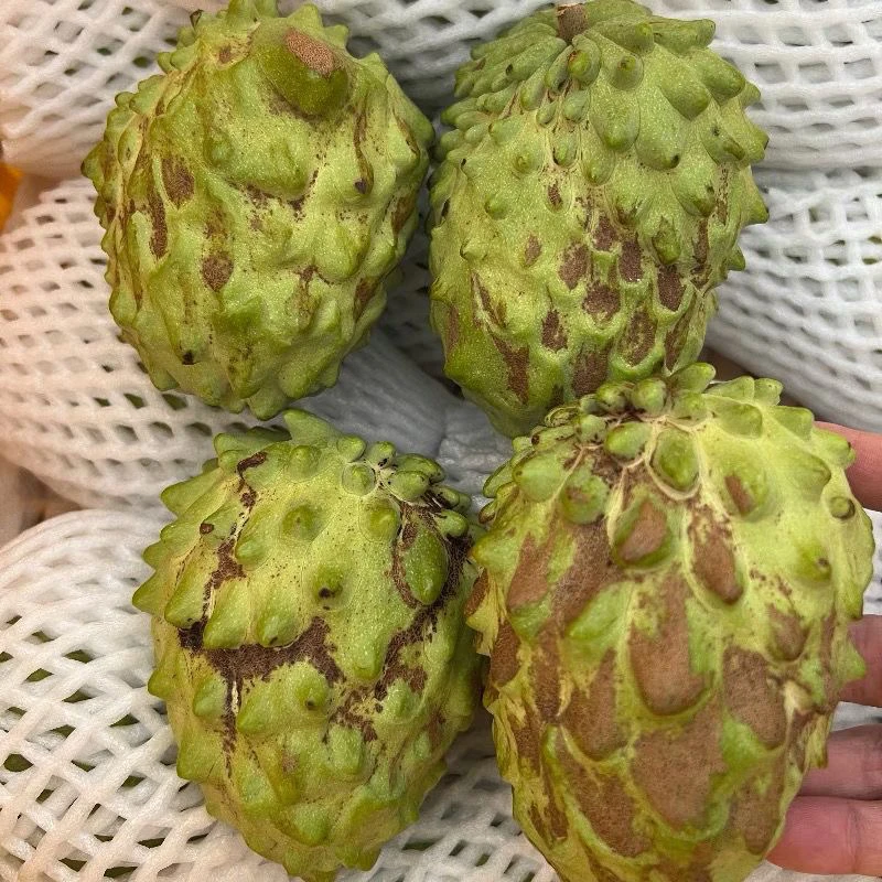 【原生态】云南农家丑释迦凤梨释迦果番荔枝现摘5斤大果批发包邮