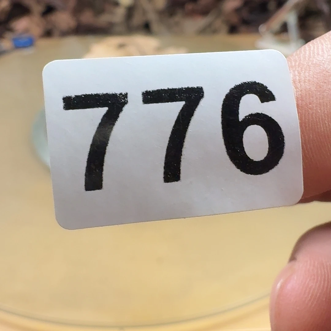 B***材香榧木我也想要这样做的