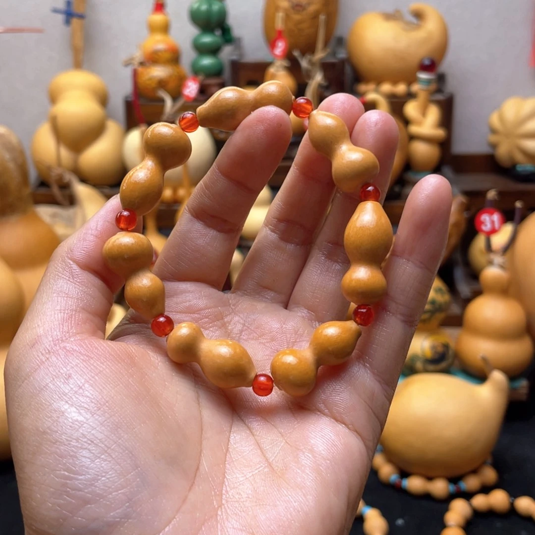 ?****?大自然的秘密第十节第二十一