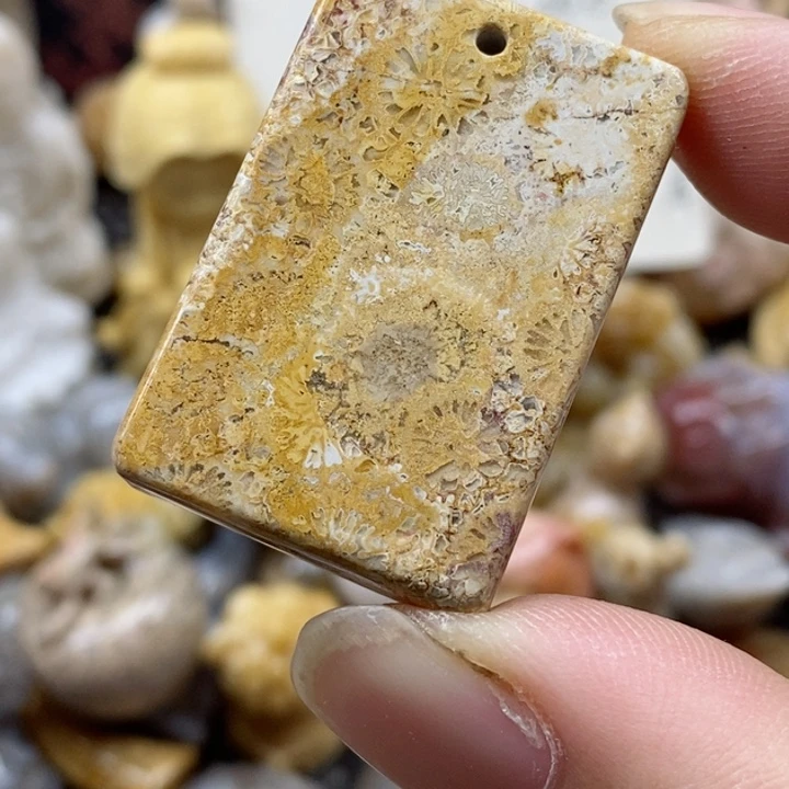 颈饰未镶嵌硅化珊瑚（珊瑚玉）小