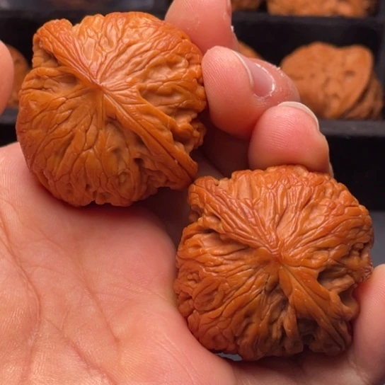 文玩核桃把件秦岭山脉核桃