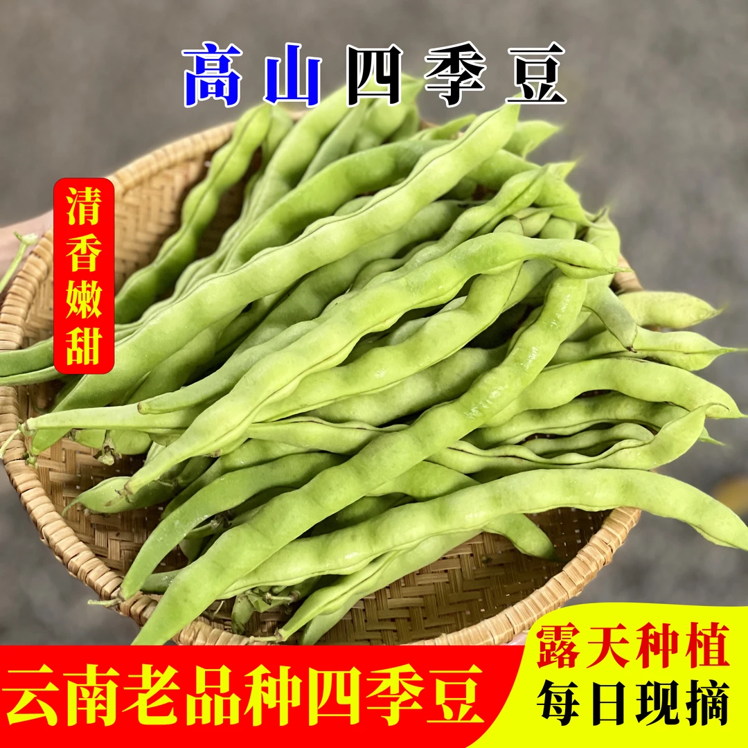 云南农家自种露天老品种新鲜四季豆蔬菜