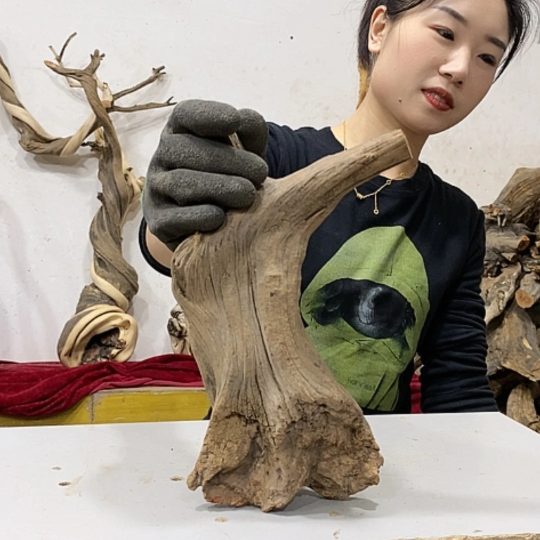 【闪购商品】柏木老*我们都是好孩子啊