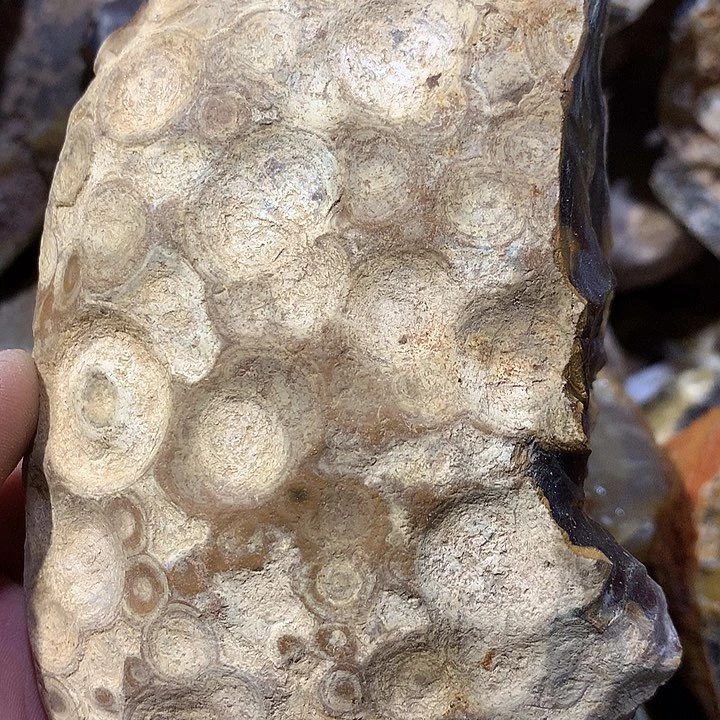 定制玛瑙私人定制不退不换