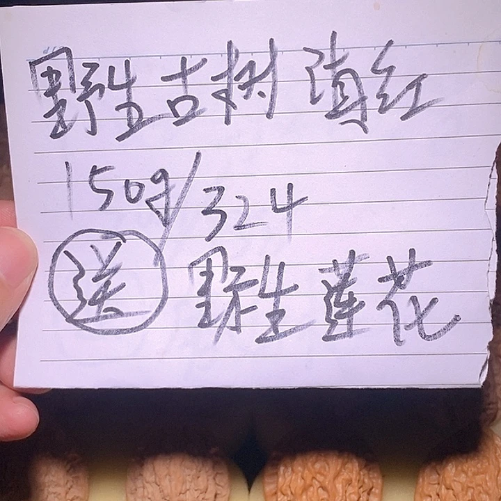 文玩核桃手把件活动