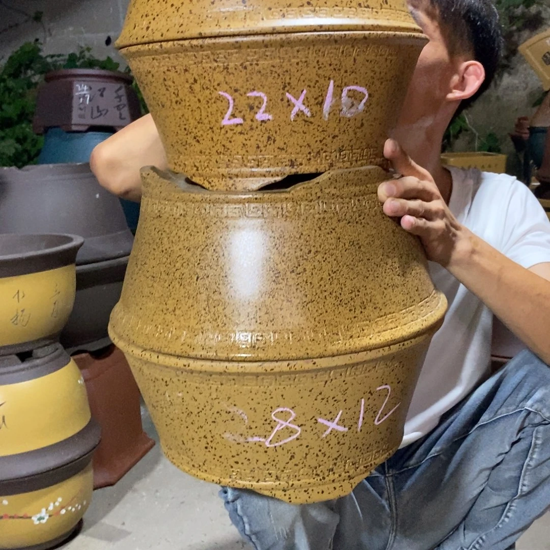 紫砂紫砂紫砂紫砂紫砂