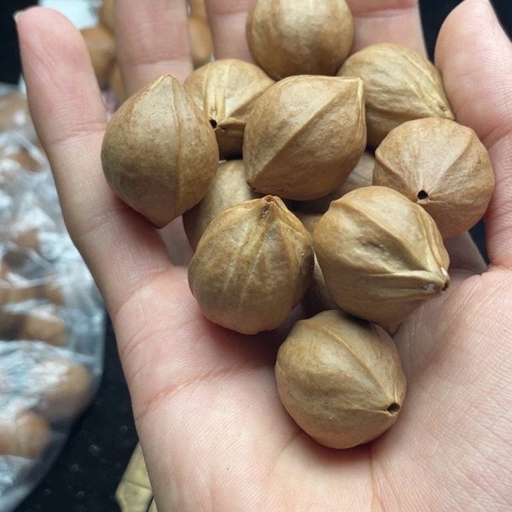 手串/手链橄榄核2.0