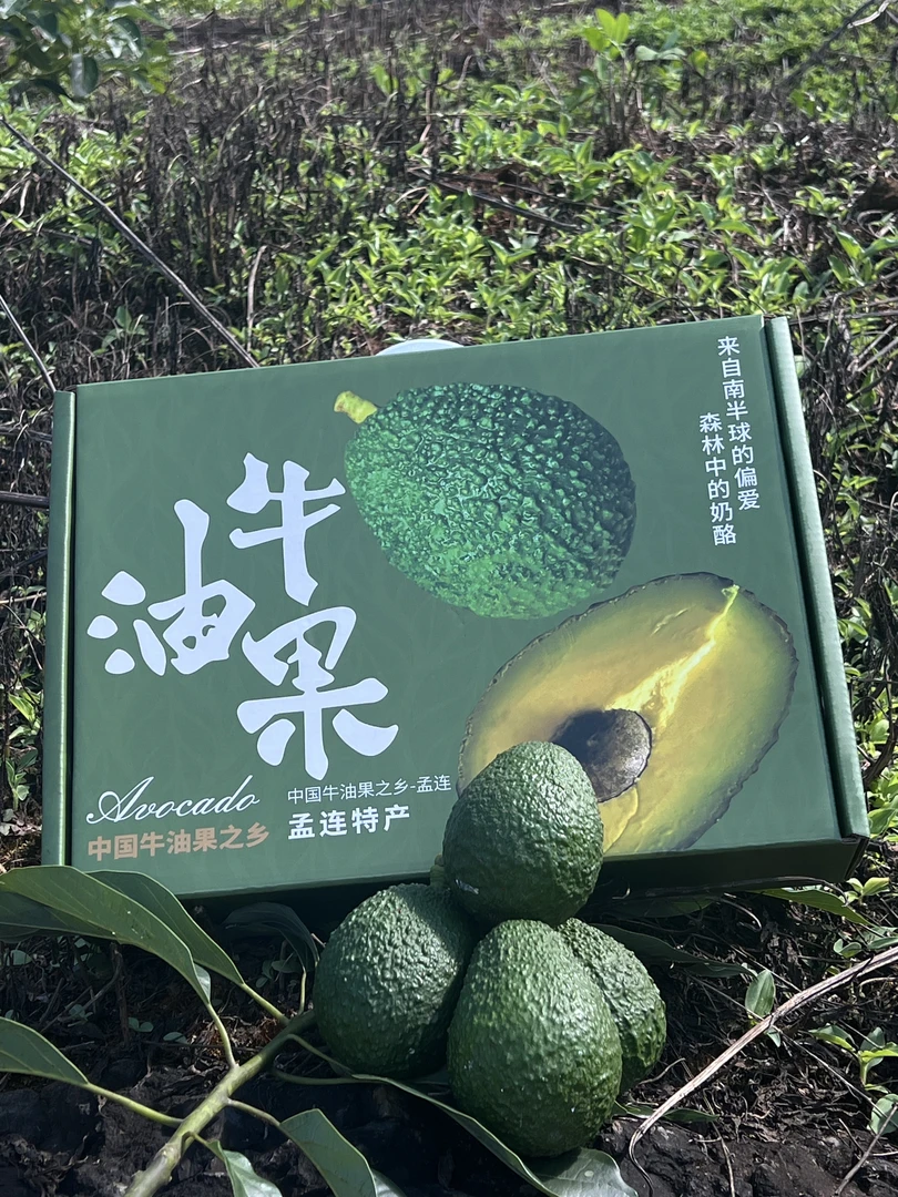 云南孟连哈斯牛油果热卖中/邮政空运/新鲜当季礼盒装孟连产地直发