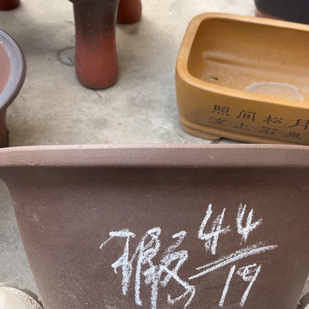 花盆紫砂盆景艺术