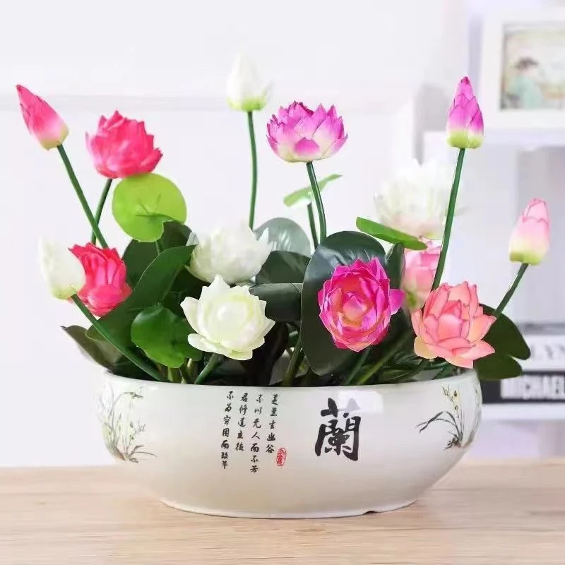 【新疆包邮】五颜六色水培花卉水养四季莲花种莲藕绿植