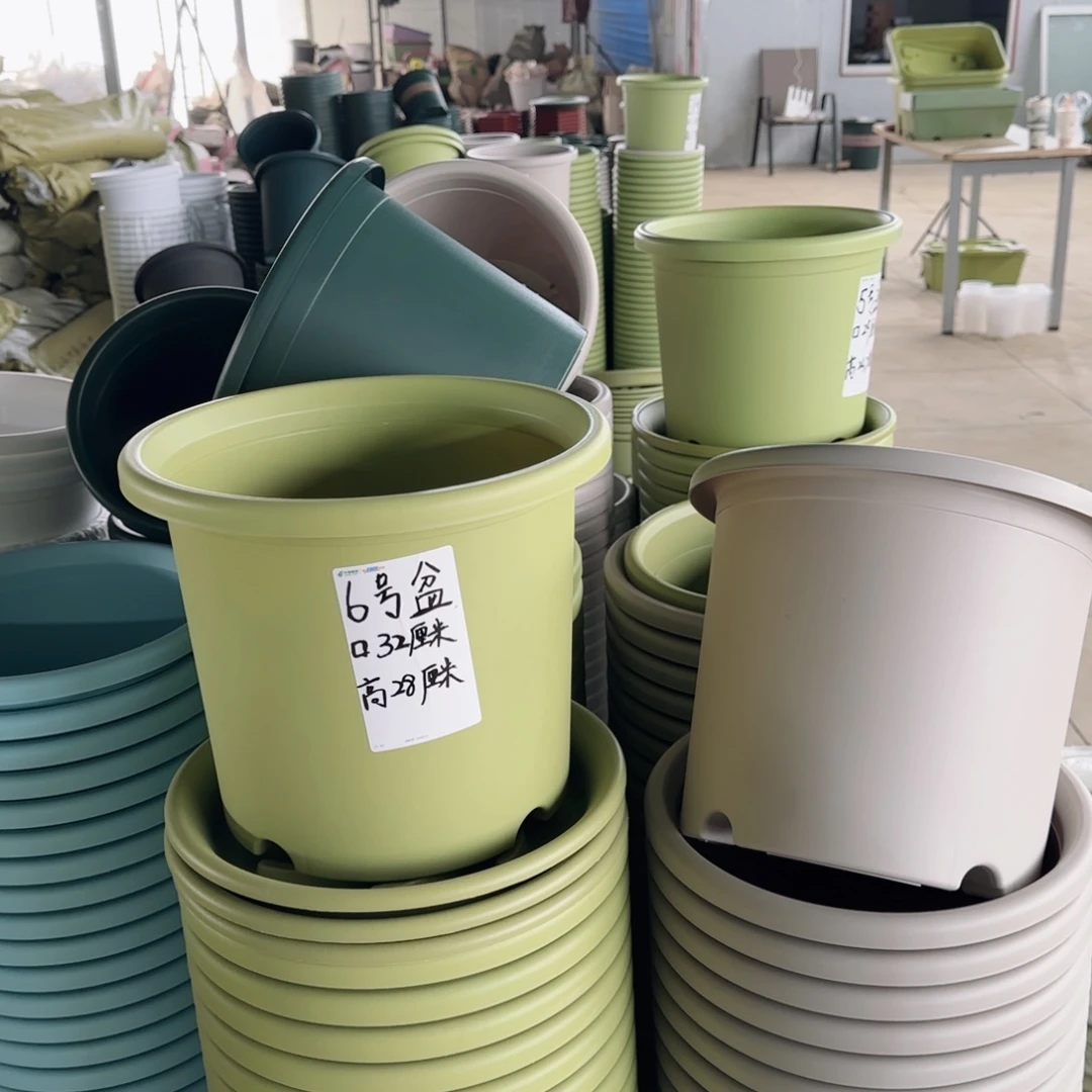 塑料四季6号军绿3个带拖