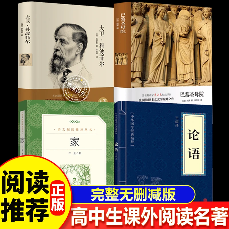 高中生课外书必读经典名著高中课外阅读高中课外阅读家巴黎圣母院