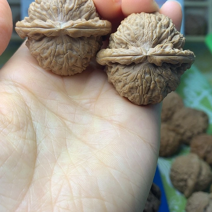 文玩核桃把件白狮子38+