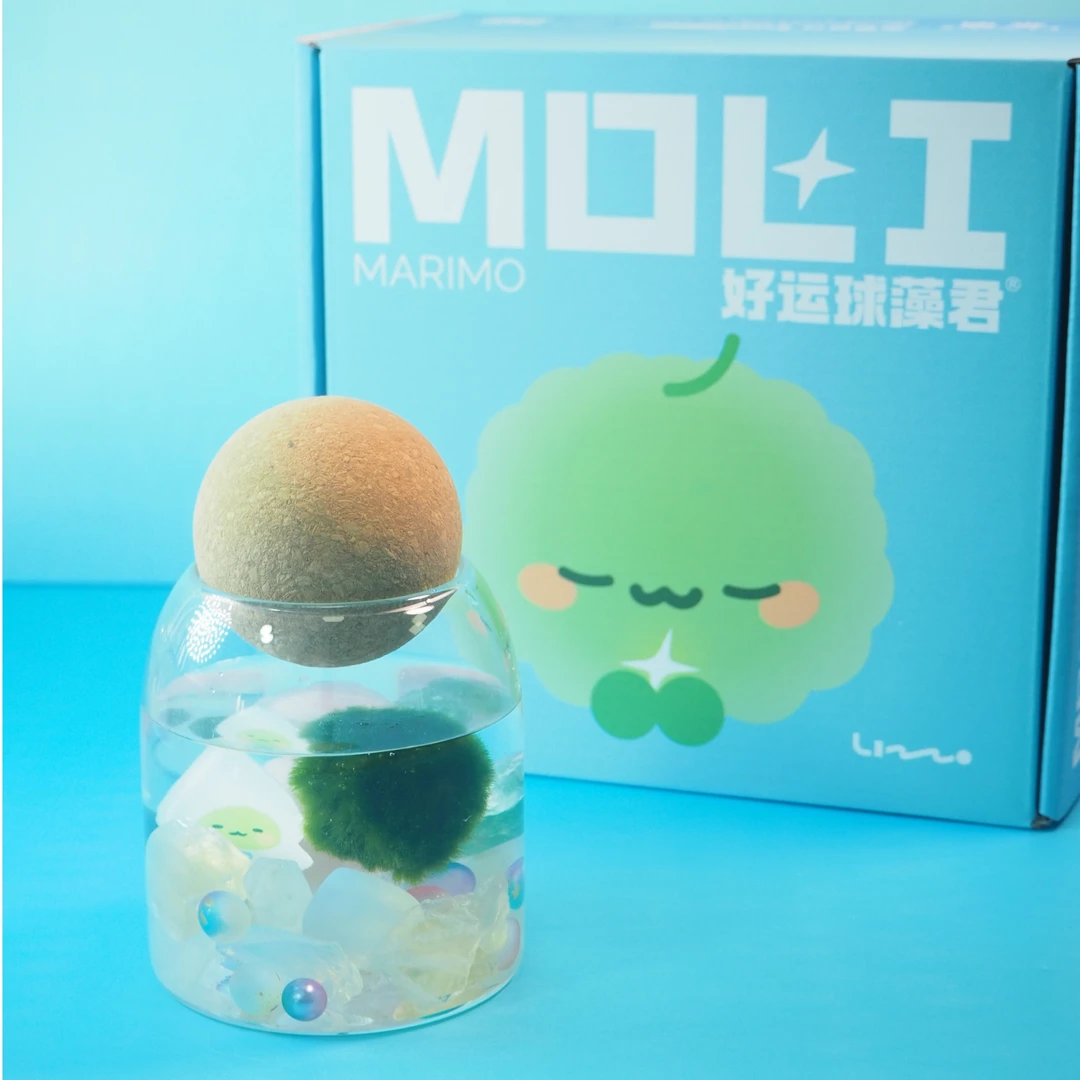 球藻君珍藏の水晶原石｜「欧气水晶对对碰」球藻瓶+扩香石DIY