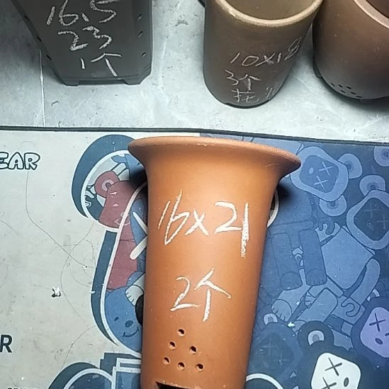 小红兰花两个微瑕