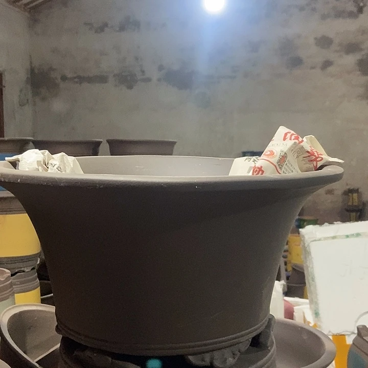 41 花盆花盆花盆花盆花盆花盆