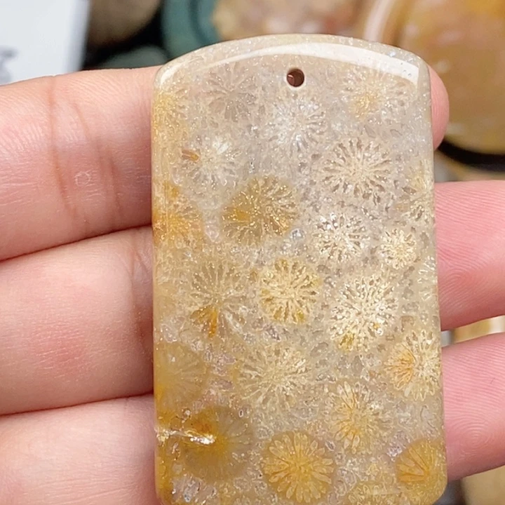 硅化玉未镶嵌颈饰