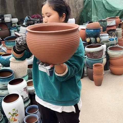 30口21高瑕瑕一个盆。