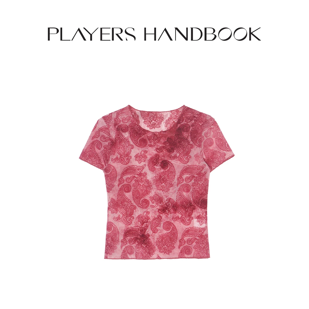 PlayersHandbook《爱丽丝 》小众潮流渲染植绒腰果花网纱短袖PH5008