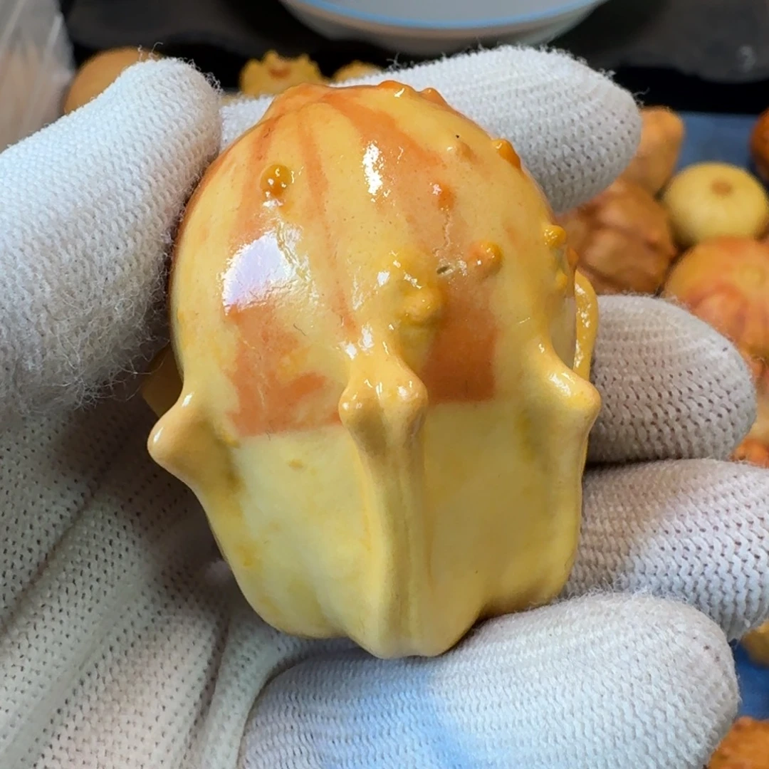 墨西哥七彩疙瘩葫芦