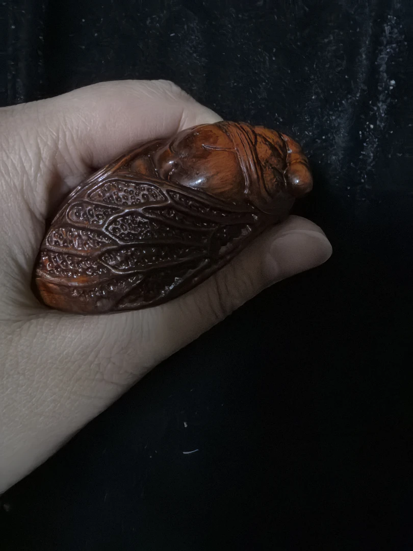 【闪购商品】112 木蝉 高端摆件