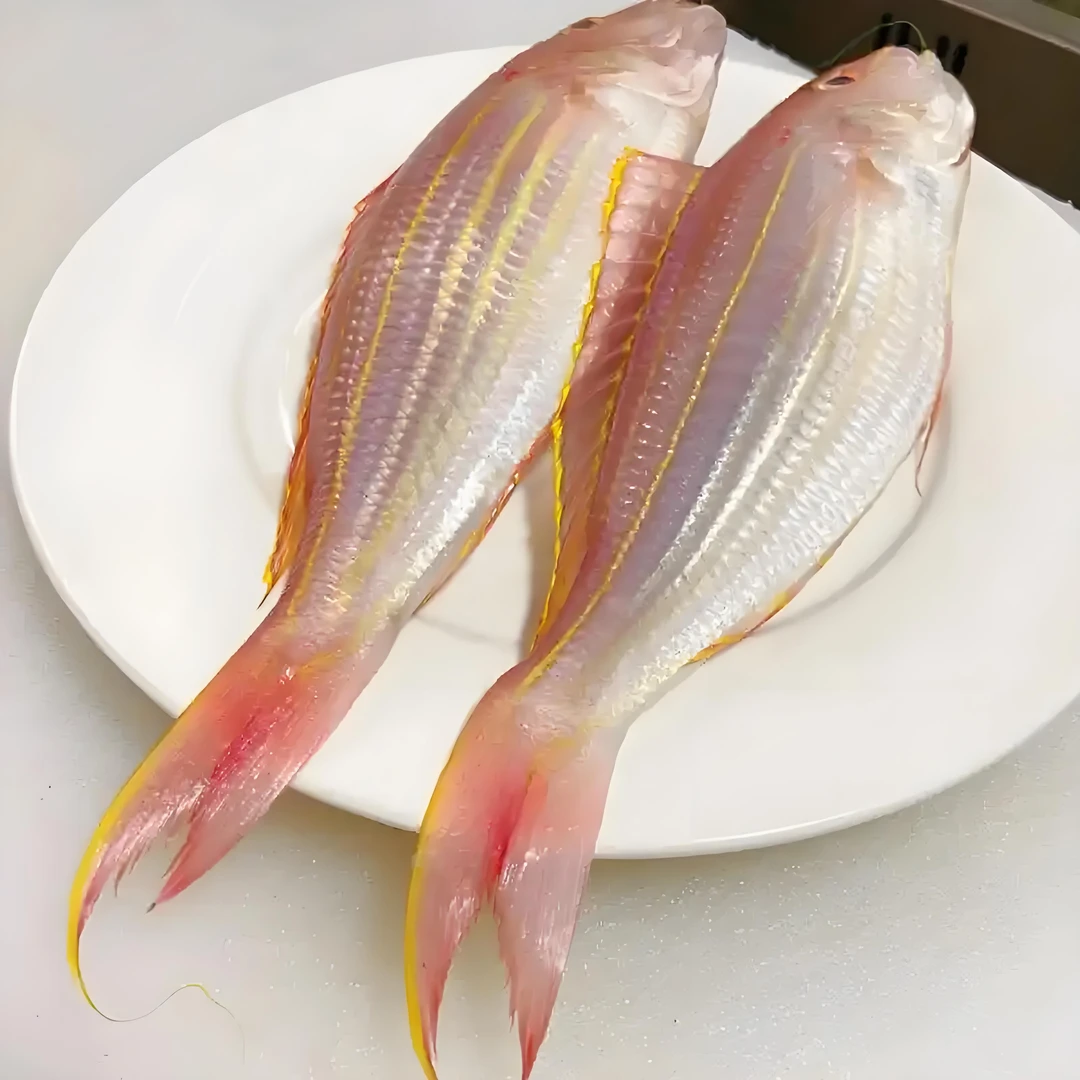 北海深海捕捞 高端金线鱼  3-5斤 顺丰包邮