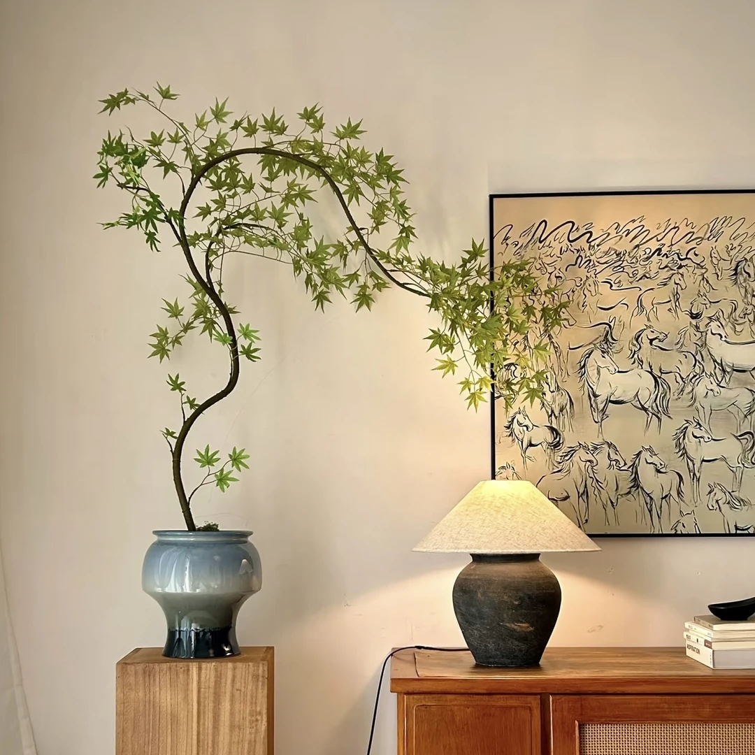 盆景【一物一拍】流泉枫带盆栽好景德镇陶瓷盆室内绿植居家玄关植物