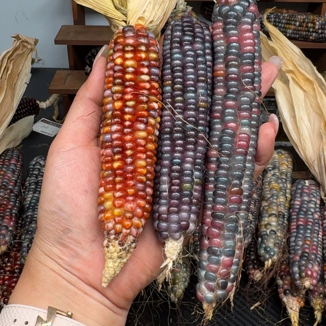 柏香籽/百香籽吊坠1****6