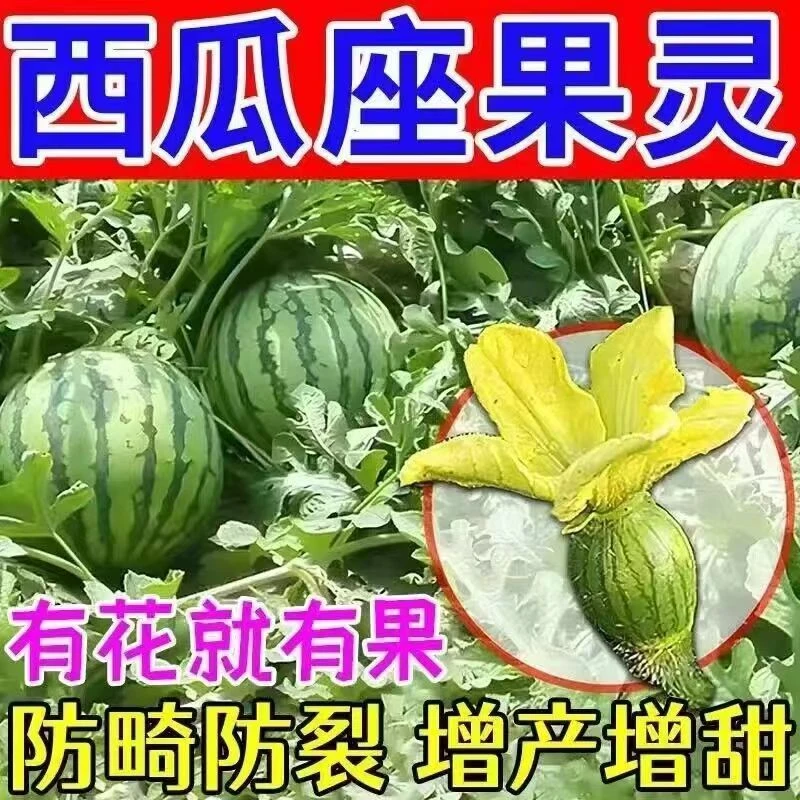 西瓜专用座果灵无需沾花座果快起果快座果多西瓜授粉药免对花