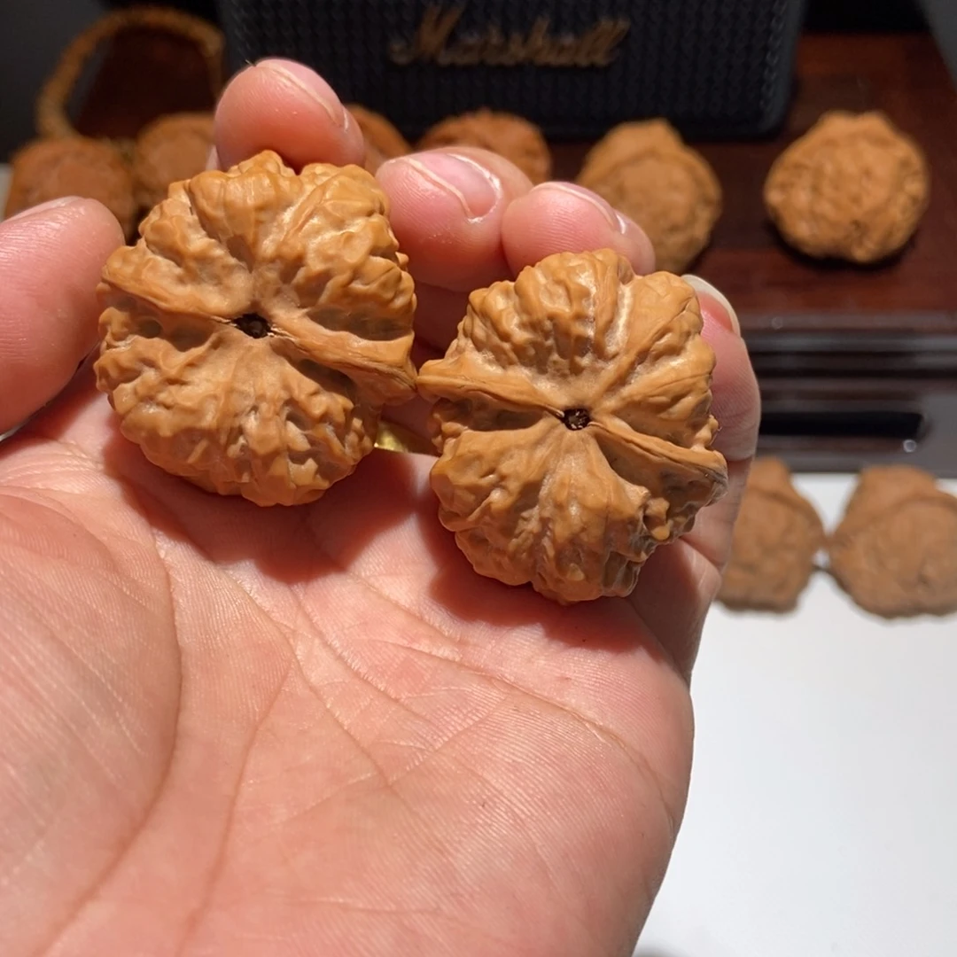 核桃X*蛤蟆头核桃35