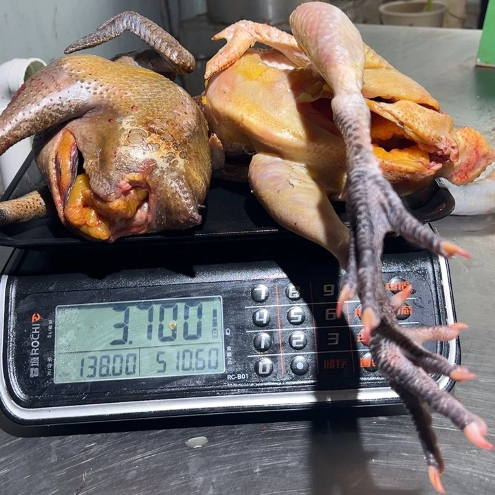 一号母鸡➕一号公鸡食用农产品中国大陆进*