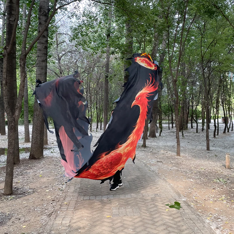 硕润 健身龙绸缎加厚一体边一体尾单龙身