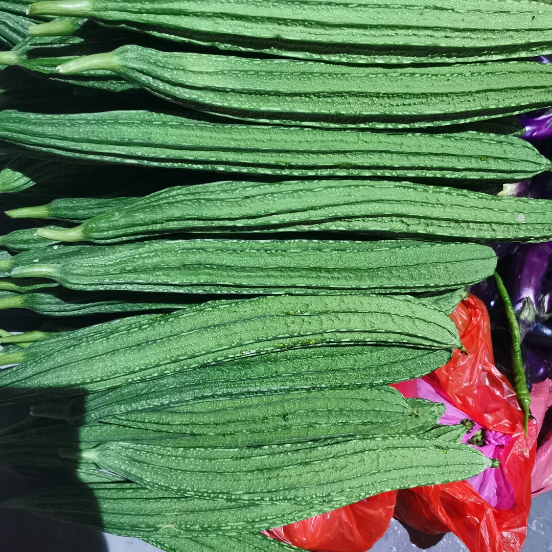 广西现摘新鲜棱角丝瓜清甜农家当季蔬菜（不支持退款介意勿拍）