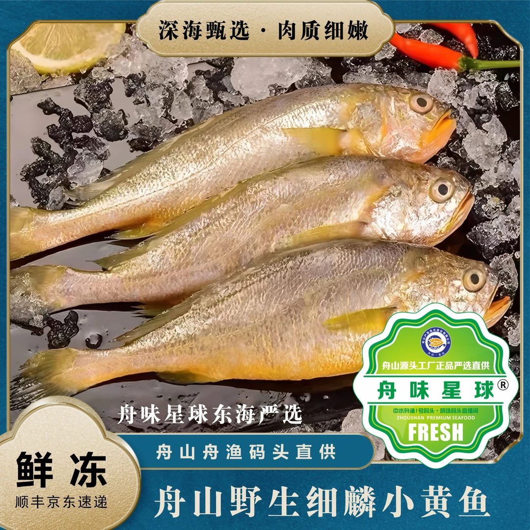 新鲜冷冻正宗舟山内海野生小黄鱼 舟渔中心渔港码头工厂直供