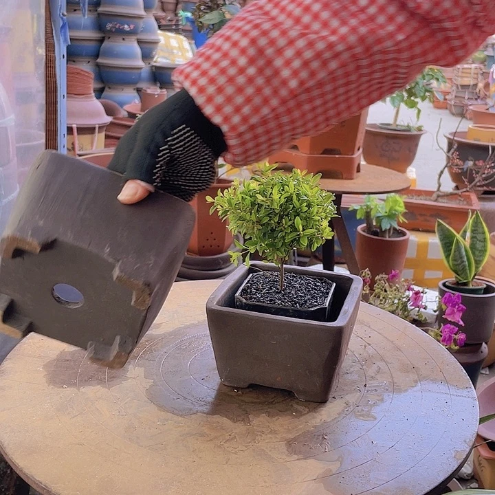 紫砂宜兴紫砂13+13四方