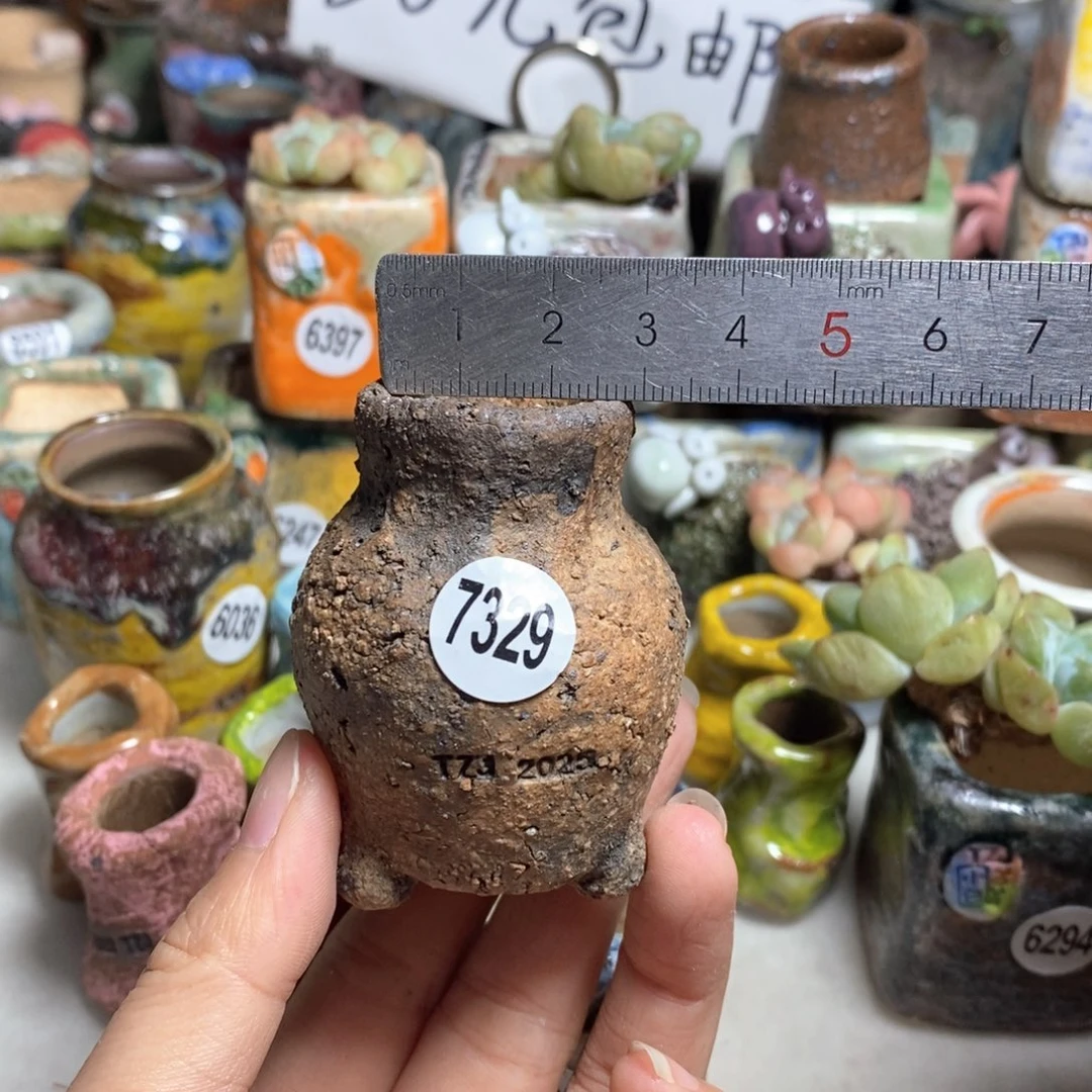 拍3送一个小礼物