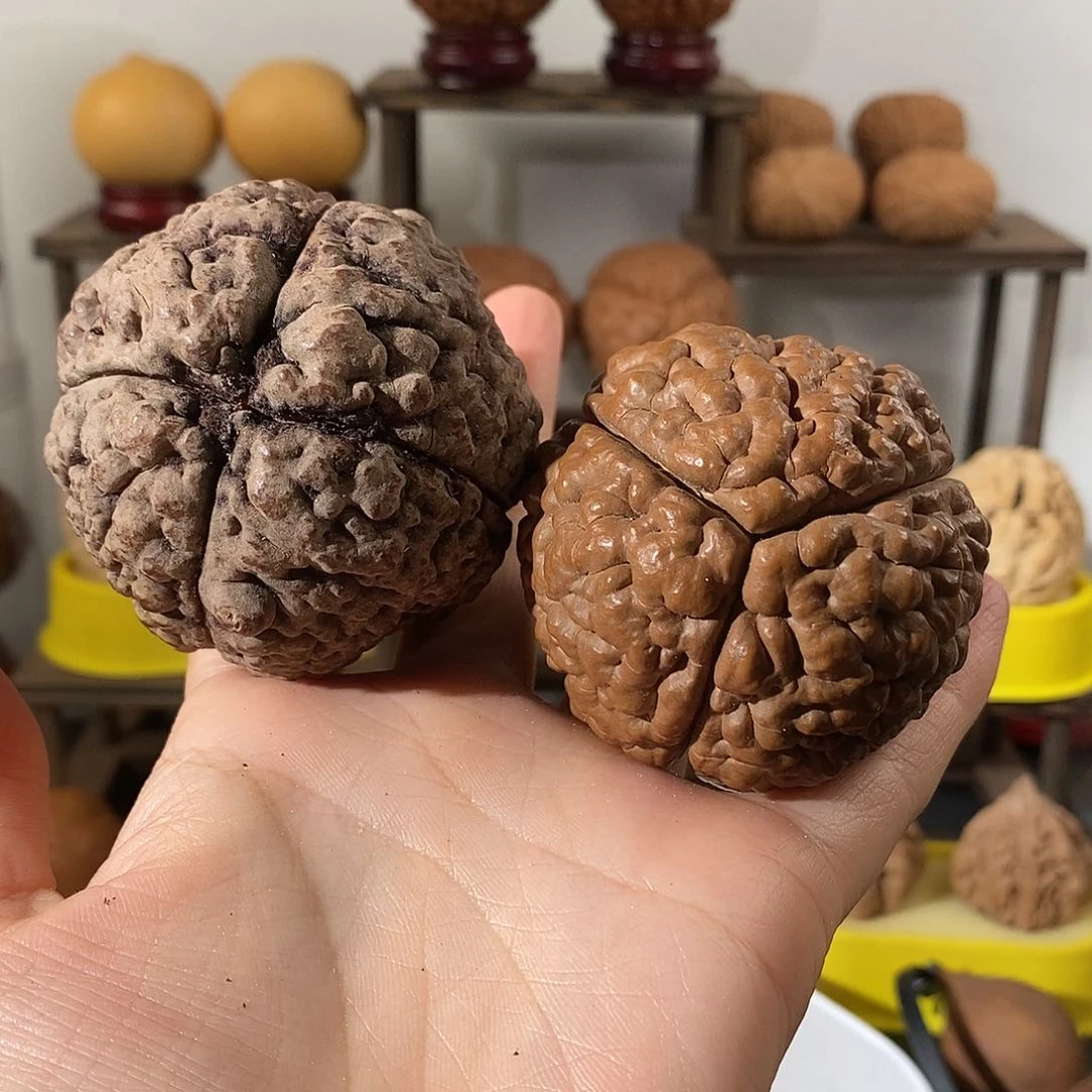 吊坠文玩核桃三花四花金刚虫眼6068 5667