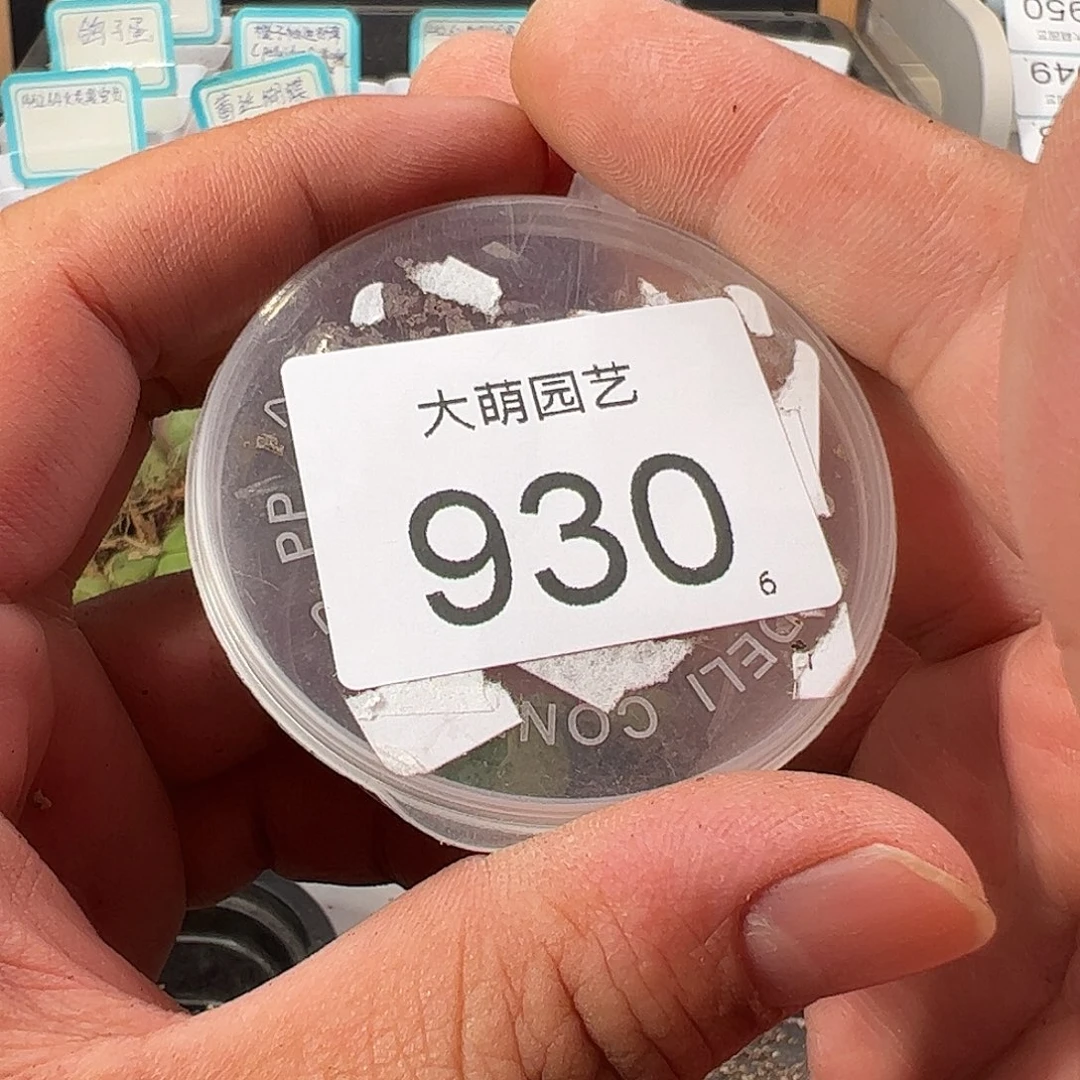 0000930 清盒福利微瑕无售后……