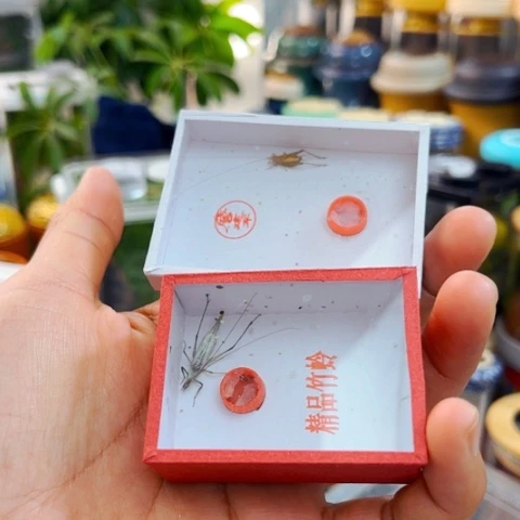 哈哈哈哈哈哈哈哈哈哈哈