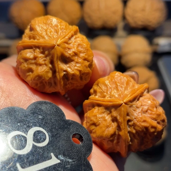 糖三角核桃尺寸33